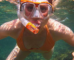 Cozumel Snorkeling Trip