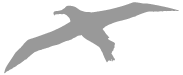 albatros